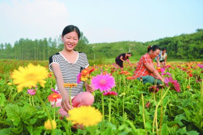 滁州在线-外媒看滁-滁州明光：梅郢村山花烂漫迎客来
