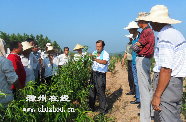滁州在线-滁州要闻-专家 滁州在线-滁州要闻-专家