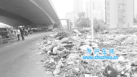 滁州在线-社会民生-滁城多处拆迁空地沦为“垃圾场”