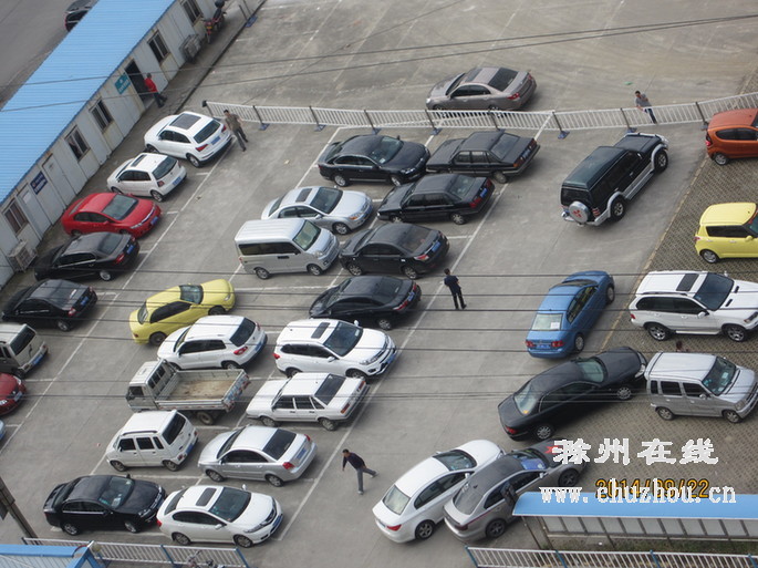 滁州在线-社会民生-无车日