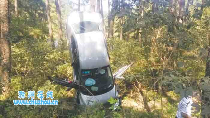 滁州在线-社会民生-汽车