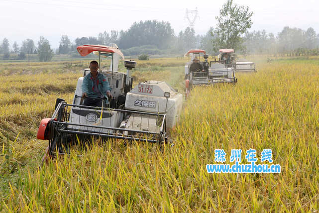 滁州在线-滁州要闻-农机