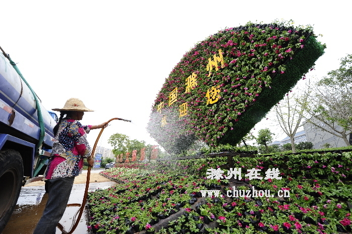 滁州在线-社会民生-国庆滁城街头摆花掀起“节俭风”