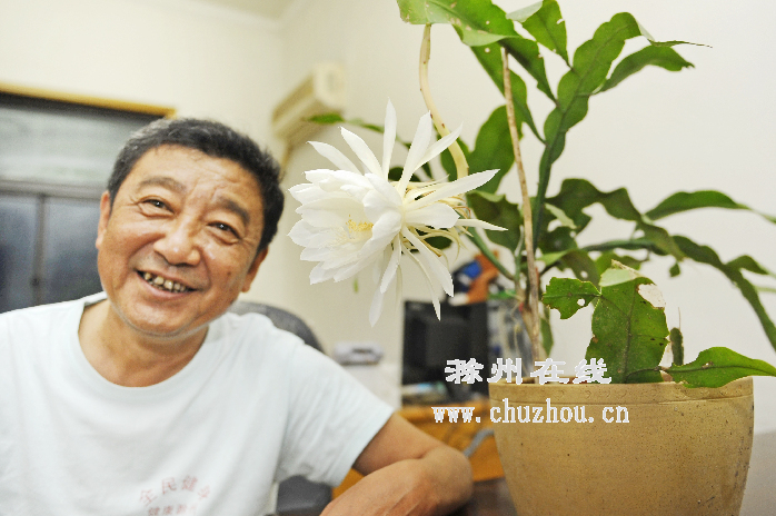 滁州在线-社会民生-滁州：昙花一现惹人爱