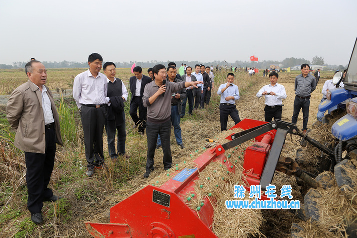 滁州在线-滁州要闻-现场