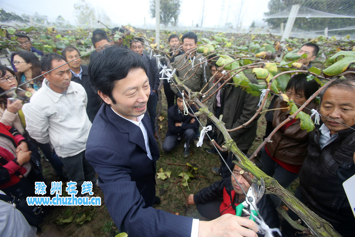滁州在线-滁州要闻-专家