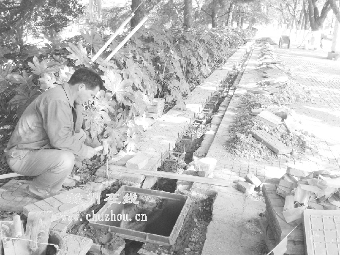 滁州在线-社会民生-滁城公共自行车服务点开始施工