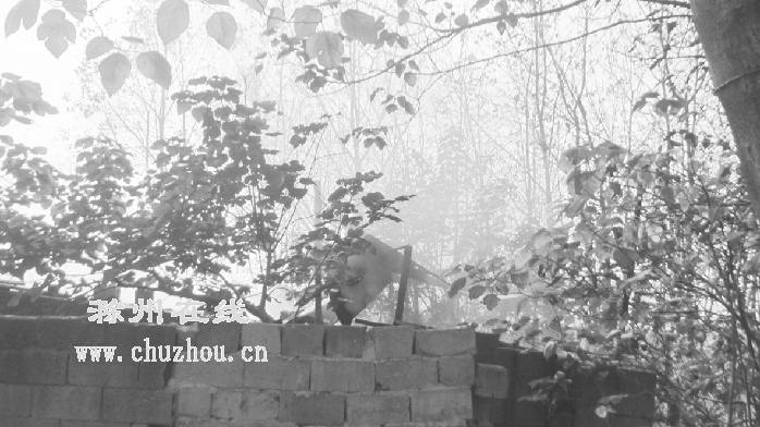 滁州在线-社会民生-滁州：废品站藏黑作坊