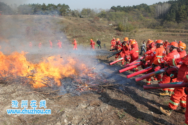 滁州在线-滁州要闻-演练 滁州在线-滁州要闻-演练