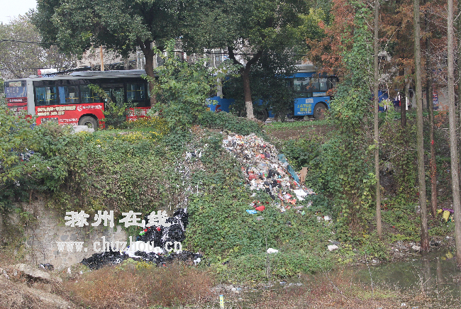 滁州在线-社会民生-南湖四期公园边倒垃圾 滁州在线-社会民生-南湖四期公园边倒垃圾