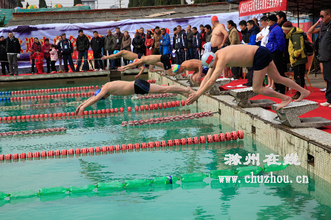 滁州在线-社会民生-省第十届冬泳锦标赛在凤阳举行 滁州在线-社会民生-省第十届冬泳锦标赛在凤阳举行