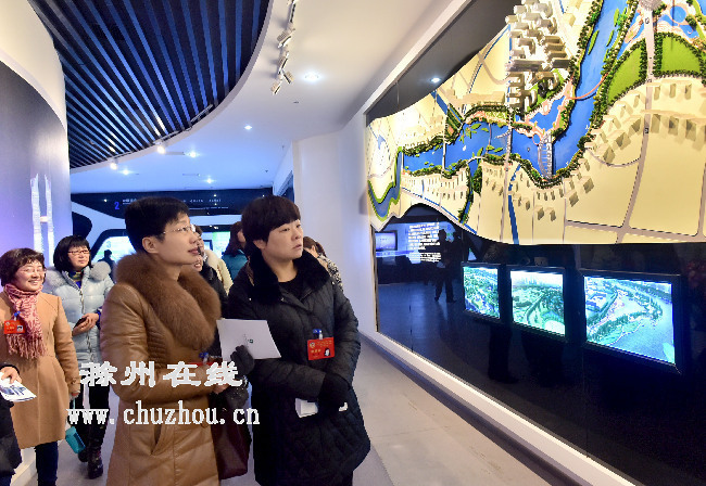 滁州在线-社会民生-滁州：政协委员滁城看精彩