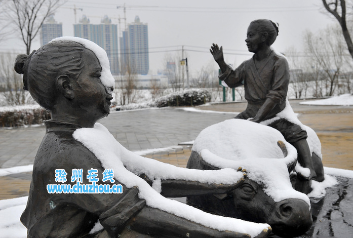 滁州在线-社会民生-首场雪