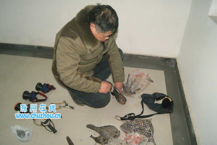 滁州在线-社会民生-猎鸟人