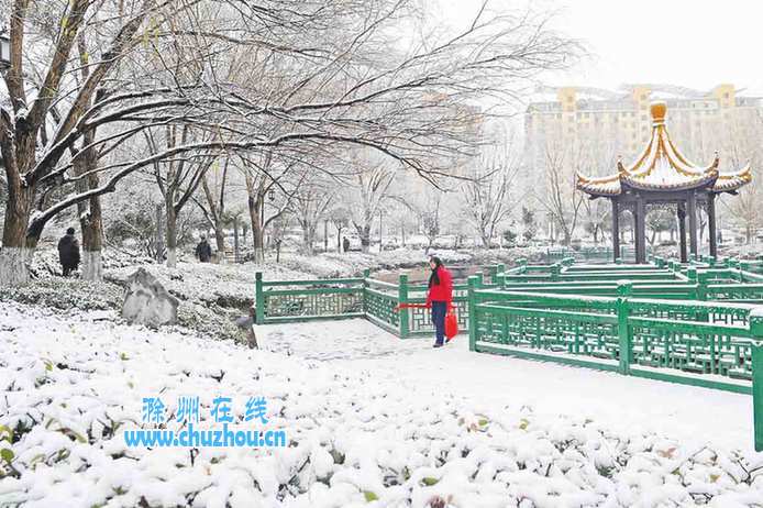 滁州在线-社会民生-雪