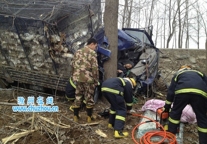 滁州在线-社会民生-拖拉机